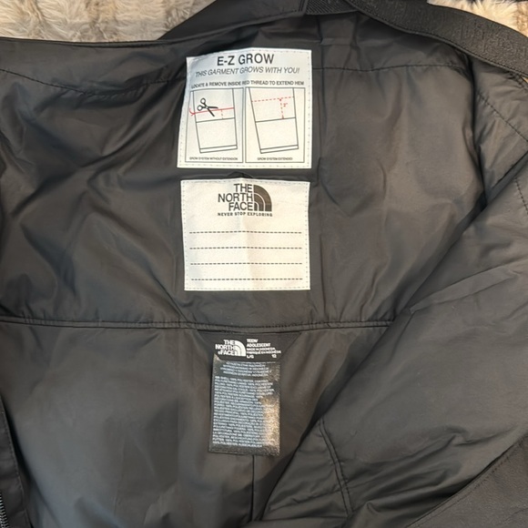 The North Face Ski Bib - Picture 8 of 11